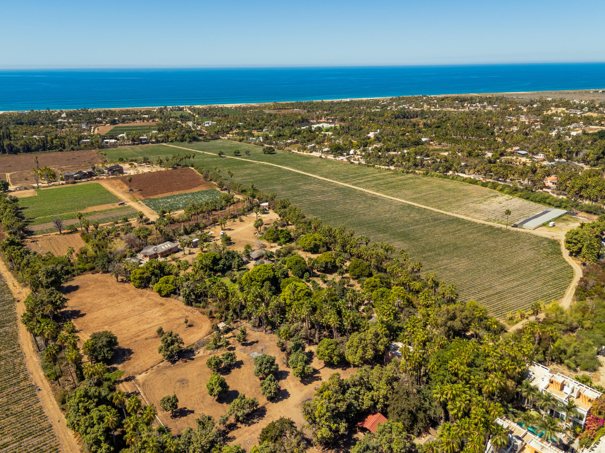 Los Cabos Luxury Migrino Experience unmatched coastal living in this stunning beachfront estate. The for sale