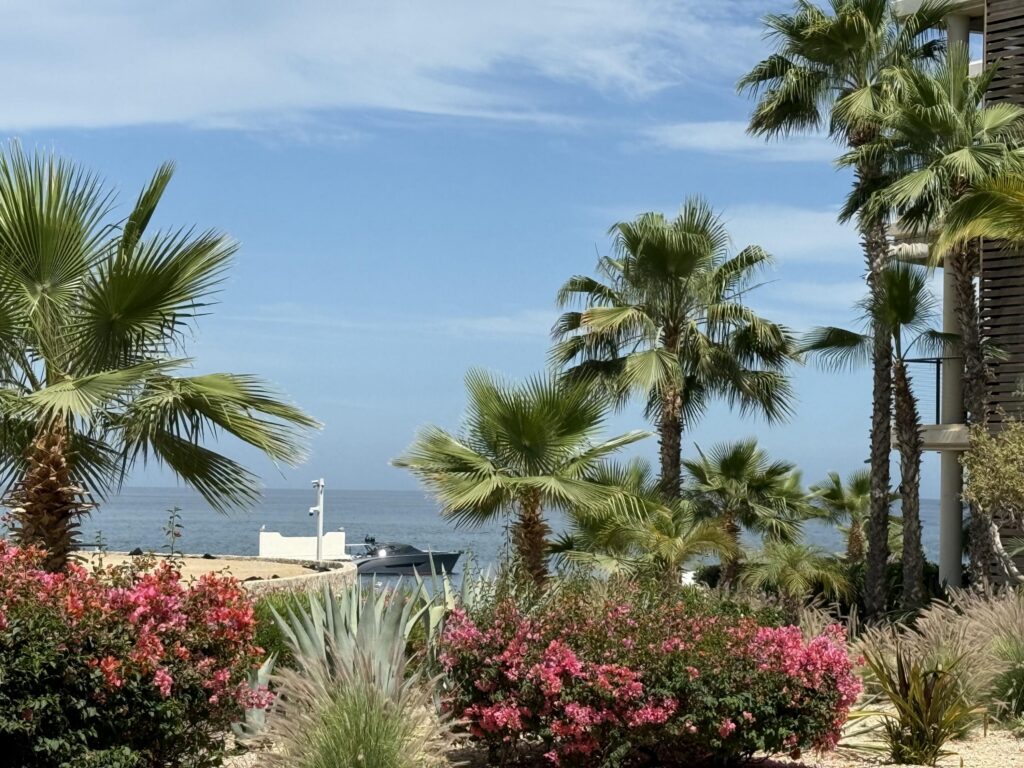 Los Cabos Luxury Chileno Bay A Rare Opportunity to purchase a Phase 1 pool villa at CBRR with a Chileno Bay Club membership available! This Garden – Fresco 1 Km 15 Carr. Transp. Cabo-SJ, Cabo Corridor, BS